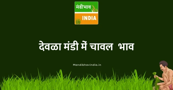 rice भाव